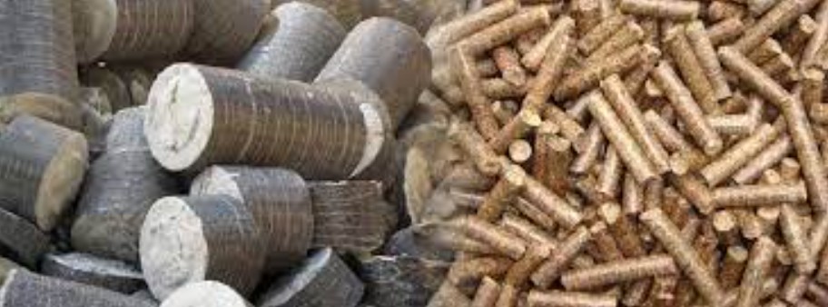 BIO MASS BRIQUETTES
